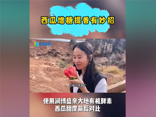 西瓜增糖提香有妙招，使用潤(rùn)博盛親大地有機(jī)酵素，西瓜甜度前后對(duì)比