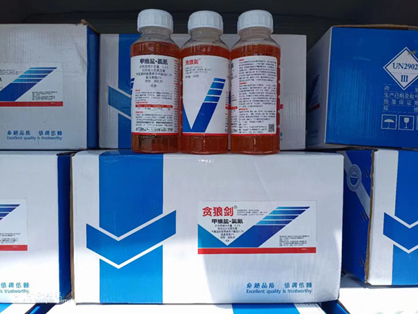 細菌生物、農(nóng)藥施用前要注意天氣