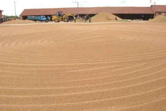 連綿陰雨天小麥?zhǔn)崭詈笤趺捶姥?、防霉?></div>
            </a></li>
          
          <li id=