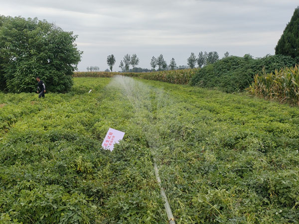 怎樣防治秋季地下害蟲